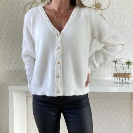 Pull Léo